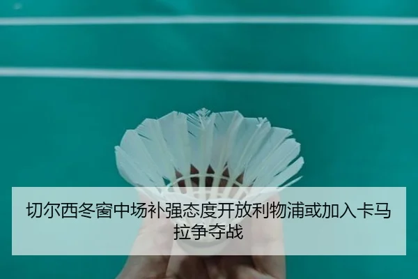 切尔西冬窗中场补强态度开放利物浦或加入卡马拉争夺战 | HuiYing